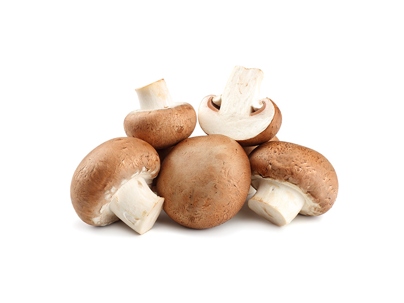 champignons-braun