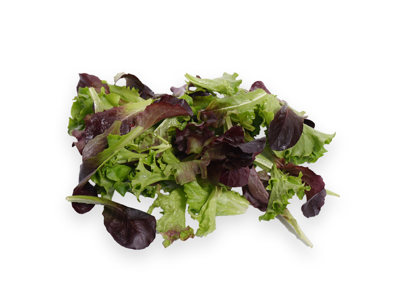 salat-babyleaf
