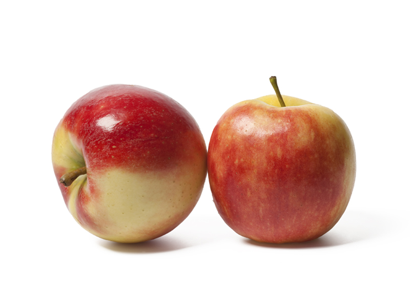 Äpfel Elstar